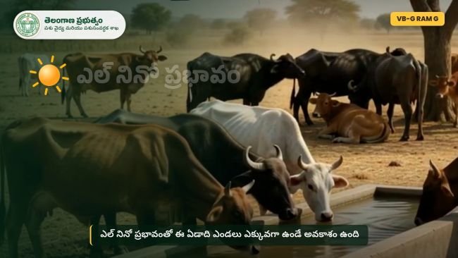 పశుగ్రాసం సాగుకు 100 శాతం ఉచిత రైతులకు ఖర్చుల భారం తగ్గించే అవకాశం