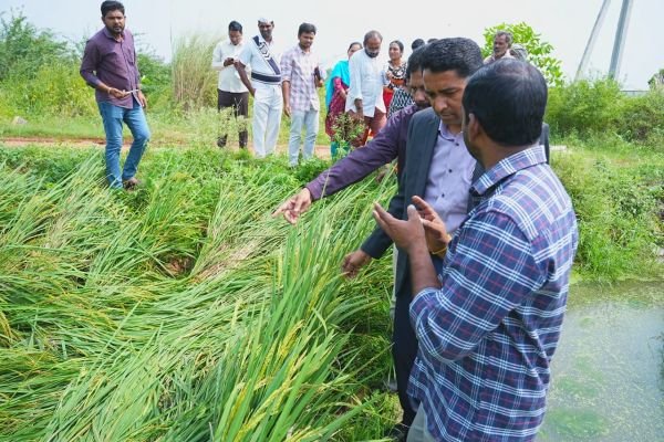 రైతులు అధైర్యపడవద్దు.. ప్రభుత్వం అండగా ఉంటుంది: కలెక్టర్ లక్ష్మీశ