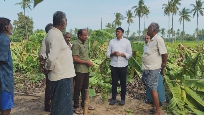 బొబ్బర్లంకలో దెబ్బతిన్న అరటి తోటల పరిశీలన