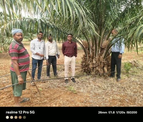 ఎల్‌నినో ప్రభావాన్ని అధిగమిద్దాం.. ఆయిల్‌పామ్ తోటలను కాపాడుకుందాం!  - జిల్లా ఉద్యాన అధికారి గడ్డం శ్యాంప్రసాద్