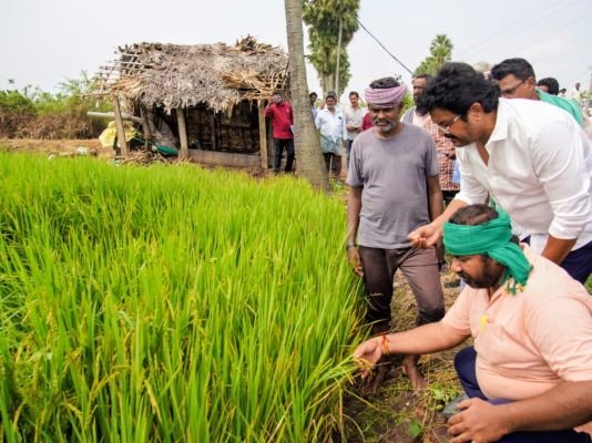 నష్టపోయిన ప్రతి రైతుకు న్యాయం చేస్తాం: ఎమ్మెల్యే వెనిగండ్ల రాము
