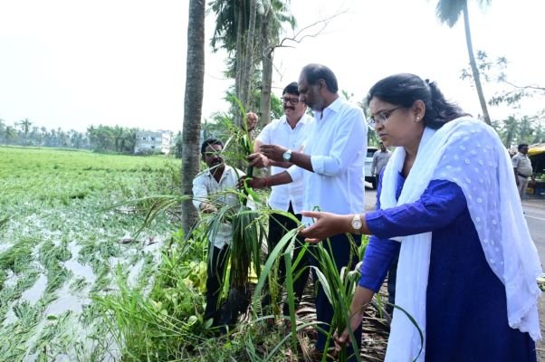 అర్నబ్ తుఫాన్‌ దెబ్బకు నీటమునిగిన వరి పంటలు.. క్షేత్రస్థాయిలో పరిశీలించిన మంత్రి గొట్టిపాటి, కలెక్టర్ నాగరాణి
