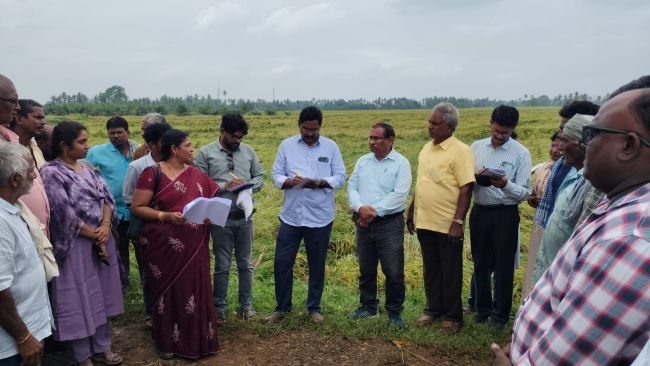 పంటలను కాపాడుకునేందుకు రైతులు తగు జాగ్రత్తలు తీసుకోవాలి