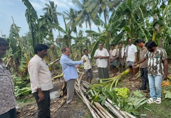 ఎకరానికి రూ 70 వేలు నష్టపరిహారం చెల్లించాలి