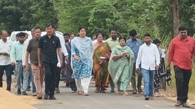 ఆయిల్‌పామ్ తోటల పరిశీలన.. రైతులతో కలెక్టర్ ముఖాముఖి