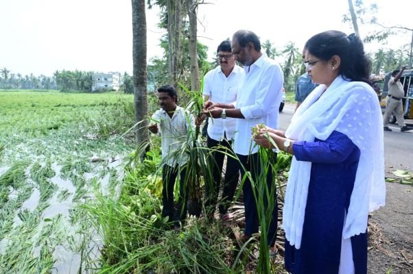 తుపాను ప్రభావిత ప్రాంతాల్లో మంత్రి గొట్టిపాటి రవికుమార్‌ పర్యటన