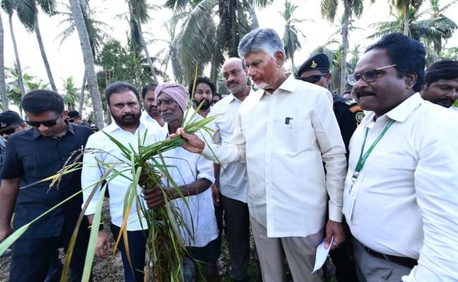 తుఫాన్ తో రాష్ట్రానికి రూ 42 కోట్లు ఆస్తి నష్టం