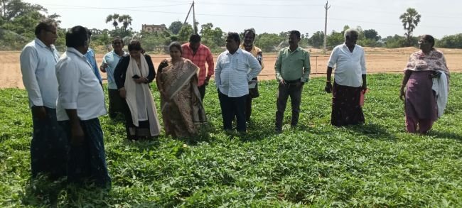 తుపాను బాధిత రైతులకు శాస్త్రవేత్తల భరోసా