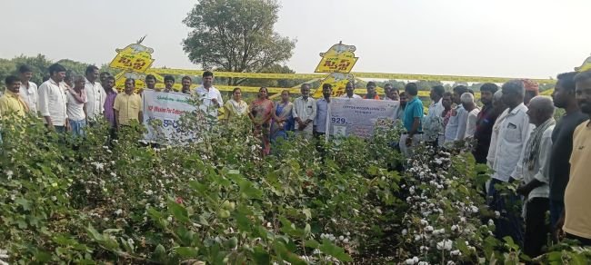మిషన్ కాటన్ పై లింగంపల్లి రైతులకు ప్రత్యేక శిక్షణ తరగతులు