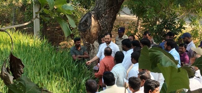 పిరంపల్లిలో జిల్లా కలెక్టర్ ఆకస్మిక పర్యటన.. వరికి ప్రత్యామ్నాయంగా కూరగాయల సాగుపై రైతులకు సూచనలు