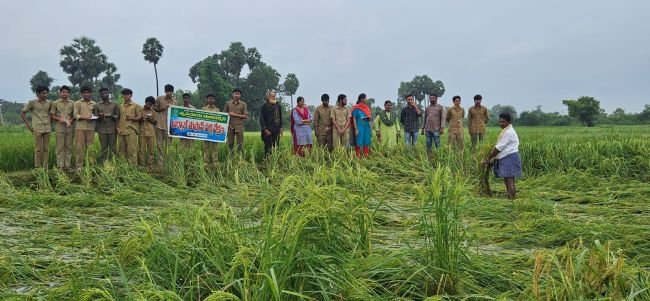 తుఫాన్ ప్రభావంపై పాలిటెక్నిక్ విద్యార్థుల క్షేత్ర పరిశీలన 