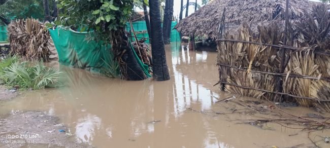 జలదిగ్బంధంలో ధూళిపూడి ... కష్టాల్లో 30 గృహాలు 