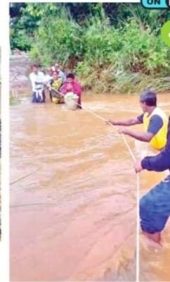 అపాయం అంచున 