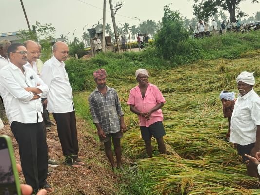 పంట నష్టపోయిన రైతులకు ప్రభుత్వం వెంటనే పరిహారం అందించాలి.