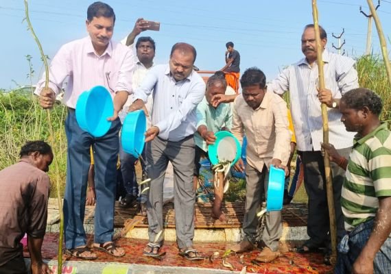 సర్వేపల్లి రిజర్వాయర్‌లో 3.18 లక్షల చేప పిల్లల విడుదల