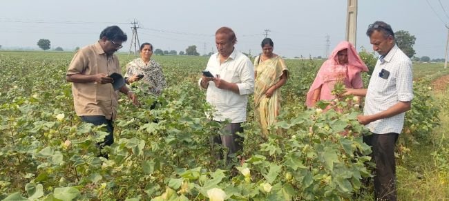 పలు పంటలను క్షేత్ర సందర్శనలో పరిశీలన. శాస్త్రవేత్తలు