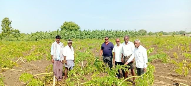 పంట నష్టపోయిన రైతులను ఆదుకోవాలి
