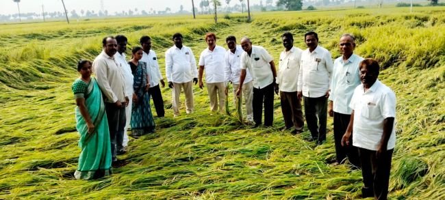 అర్నాబ్ తుఫాన్ బాధిత రైతులను ఆదుకోవాలి  - బుర్రి శ్రీరాములు