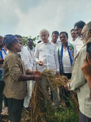 తుఫాన్లతో రైతులు కుదేలు.. పరిహారంలో ప్రభుత్వ జాప్యం.:చెల్లుబోయిన వేణు ధ్వజం