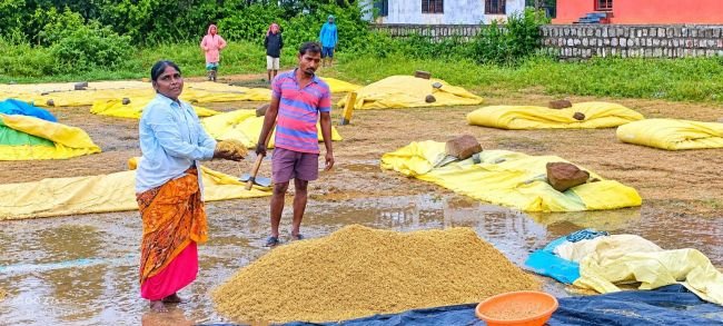 భారీ వర్షానికి తడిసిన వరి ధాన్యం.. కన్నీరు పెడుతున్న రైతన్న