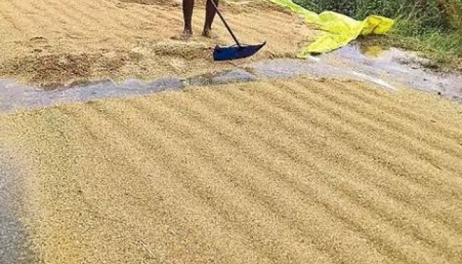 కొనుగోలు కేంద్రం ప్రారంభించండి మహాప్రభో