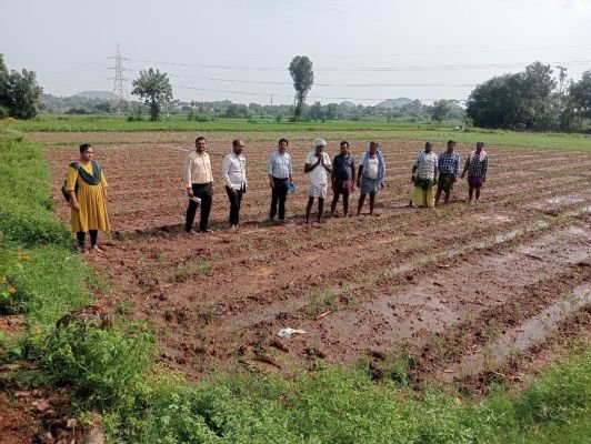 దెబ్బతిన్న ఉద్యాన పంటలు పొలాలను పరిశీలించిన అధికారుల బృందం