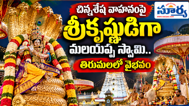 చిన్నశేష వాహనంపై శ్రీకృష్ణుడిగా మలయప్ప స్వామి.. తిరుమలలో వైభవం