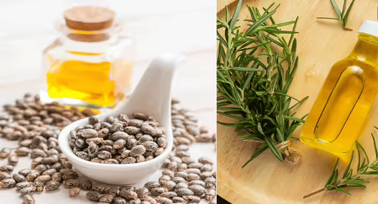 ఆముదం, రోజ్మెరీ ఆయిల్ రెండింటిలో ఏది బెటరో తెలుసా