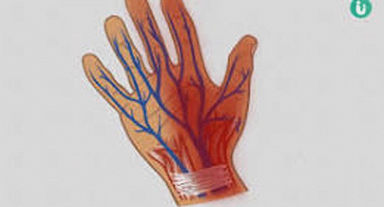 రెగ్యులర్‌గా తింటే వీక్నెస్ నుంచి త్వరగా బయటపడతారు