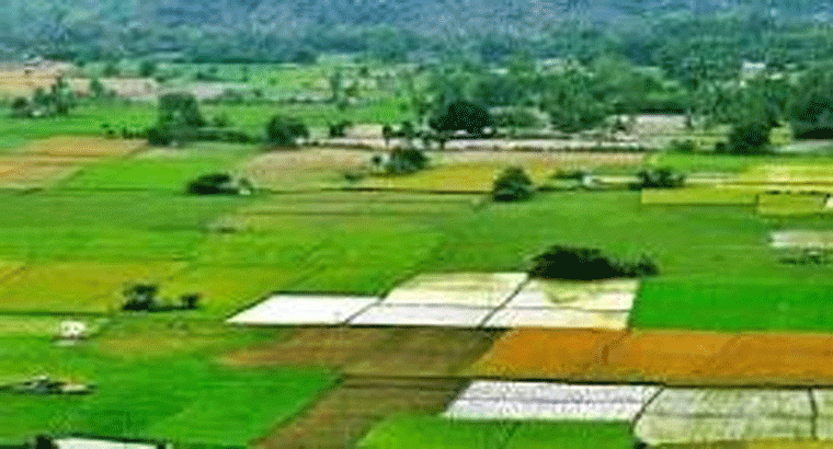 ఏ నగరంలో భూముల రేట్లు ఎంత పెరిగాయి.. ప్రపంచంలోనే రెండో స్థానంలో మన సిటీ