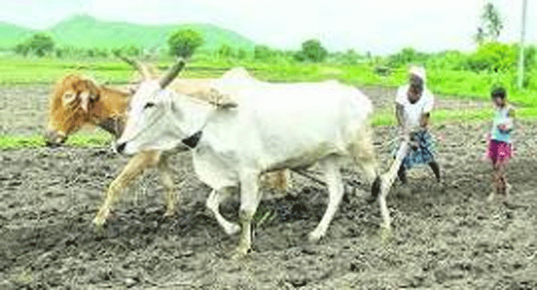 జీతం సరిపోవట్లే,,, 93 శాతం ఉద్యోగులకు 'క్రెడిట్ కార్డు'లే దిక్కు.. 