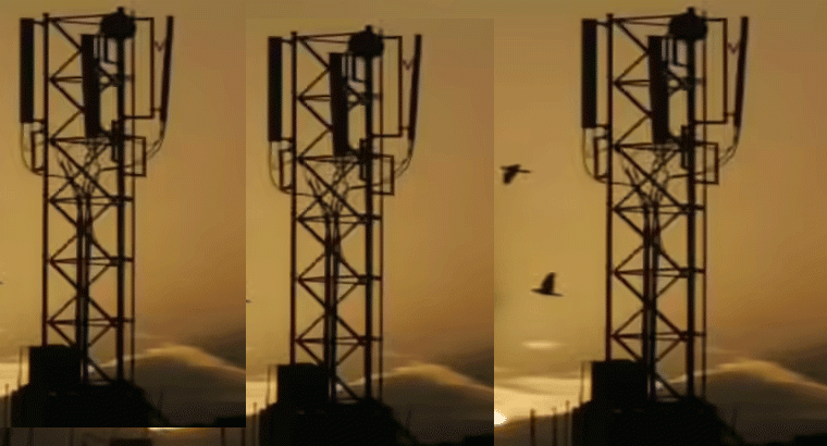 సెల్‌ టవర్లు సిగ్నళ్లనే కాదు.. సెక్యూరిటీని ఇస్తాయ్.... అల్లూరి జిల్లాలోని పోలీసులు, ఇంటెలిజెన్స్ అధికారుల వినూత్న ఆలోచన