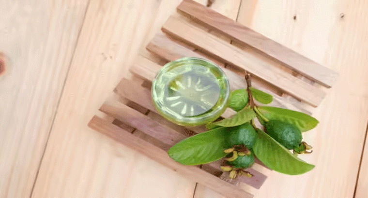 జామాకులతో టీ చేసి తాగితే బ్లడ్ షుగర్ లెవల్స్, కొలెస్ట్రాల్ తగ్గుతుంది