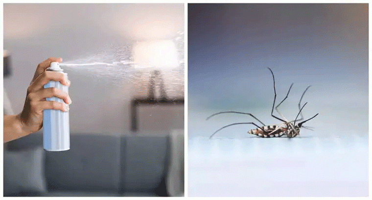 వాటిని స్ప్రే చేస్తే ఒక్క దోమ కూడా ఇంట్లోకి రాదు