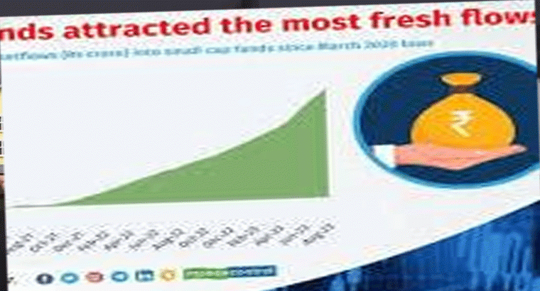 ఈ 2024లో 30 శాతానికిపైగా లాభాలు.. టాప్-10 స్మాల్ క్యాప్ ఫండ్స్ ఇవే