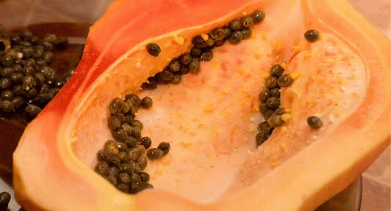 ఈ సమస్యలున్న వారు అసలు బొప్పాయి తినకూడదు