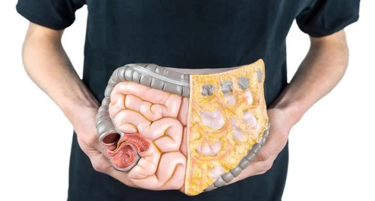 జీర్ణక్రియ మెరుగవ్వడానికి చేయండిలా
