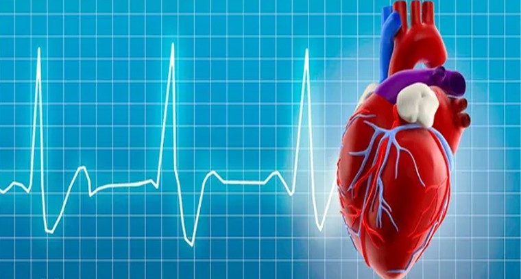 గుండెను ఆరోగ్యంగా ఉంచే అలవాట్లు ఇవే
