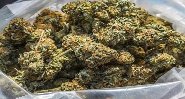 నష్టాలతో ప్రారంభమైన దేశీయ స్టాక్ మార్కెట్లు
