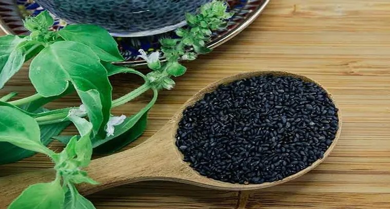 తులసి గింజలతో ఎన్ని ప్రయోజనాలో తెలుసా?
