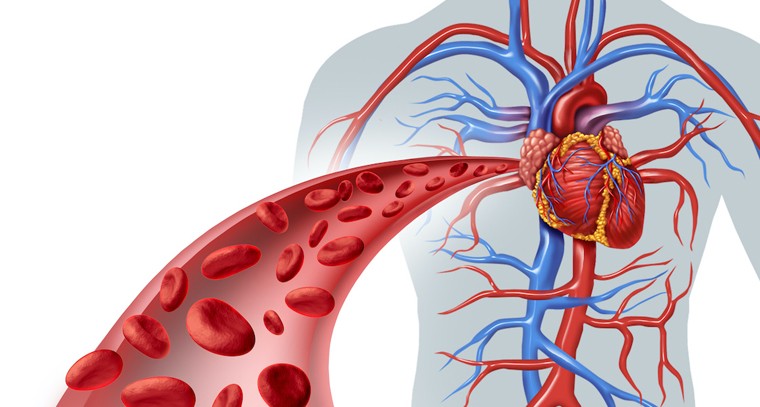 రక్త ప్రసరణ మెరుగవ్వాలంటే చేయండిలా
