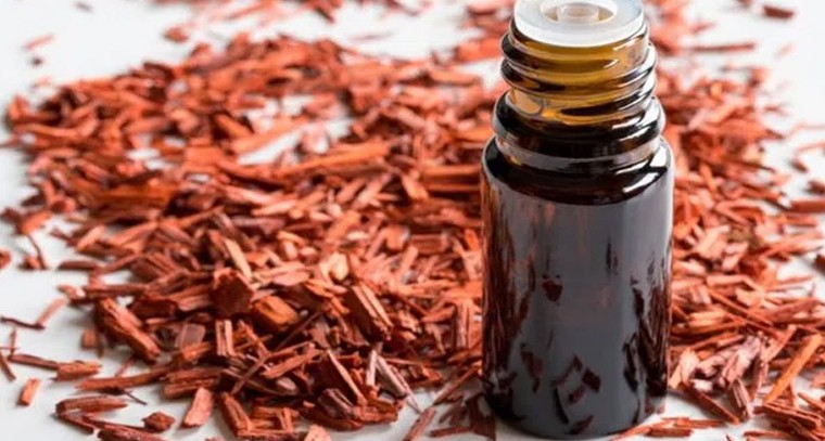 గంధం నూనెతో అనారోగ్య సమస్యలకు చెక్
