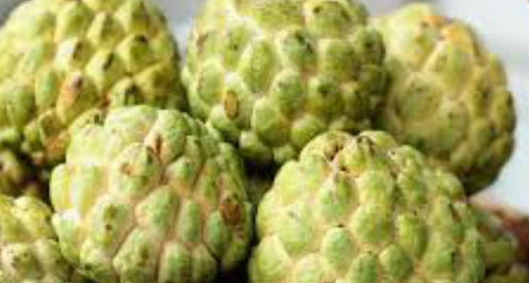 సీతాఫలం అనేక ఆరోగ్య ప్రయోజనాలు