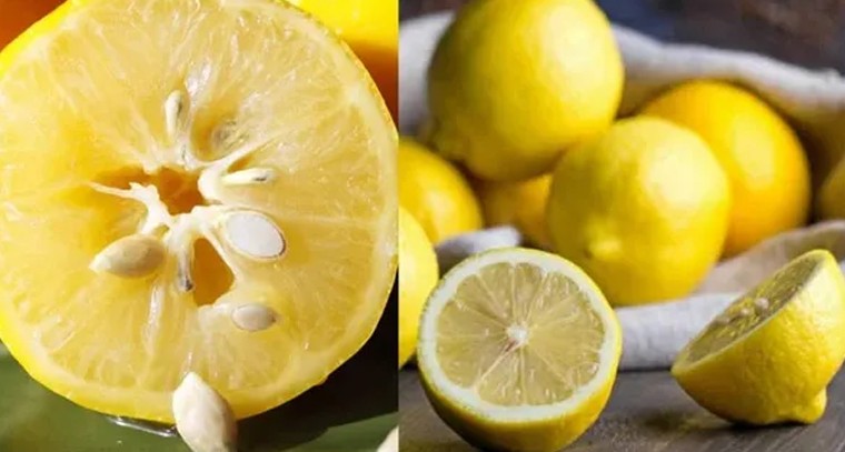 మద్యం తాగినా కాలేయం పాడవకూడదంటే ఇలా చేయండి
