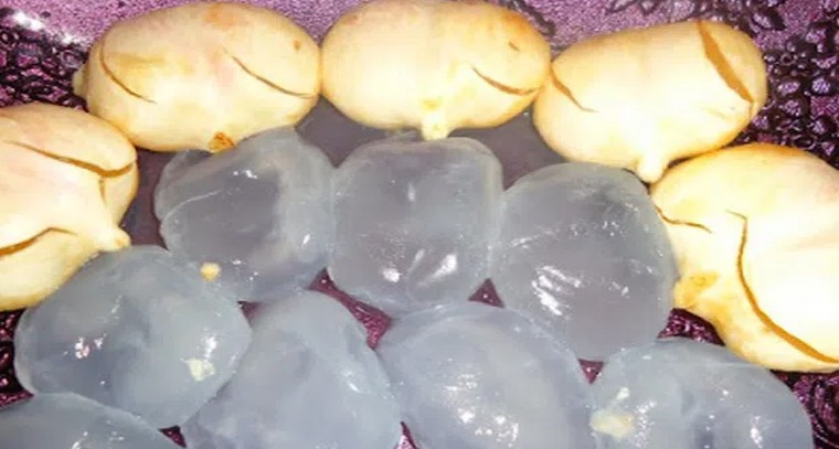 కల్తీ లేని ఆహారం ఇదొక్కటే.!
