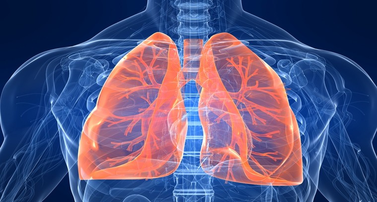 ఊపిరితిత్తుల ఆరోగ్యానికి ఇలా చేయండి
