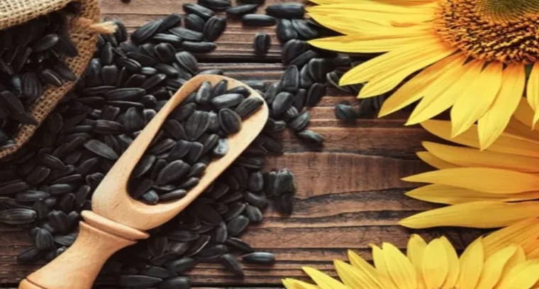 పొద్దుతిరుగుడు పువ్వు విత్తనాలతో ఈ సమస్యలకు చెక్!