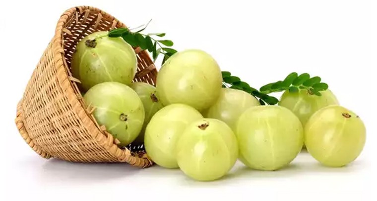 ఉసిరితో ఆ వ్యాధులకు చెక్!
