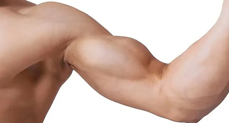 కండలు బాగా పెరగాలంటే.. ఇవి తీసుకుకోవాలి
