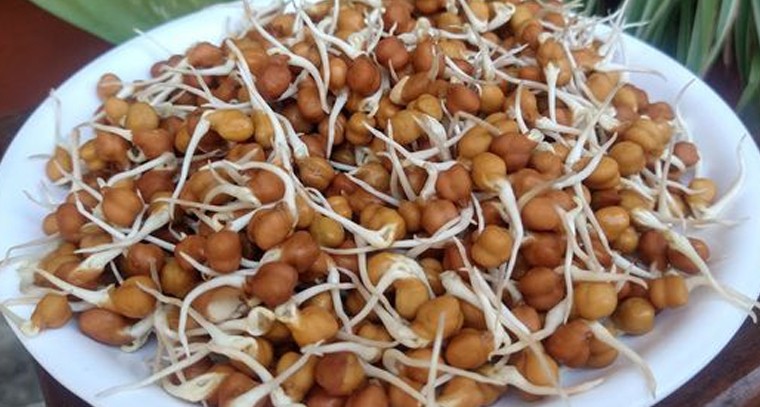 శనగ మొలకలతో ఒత్తిడి మాయం
